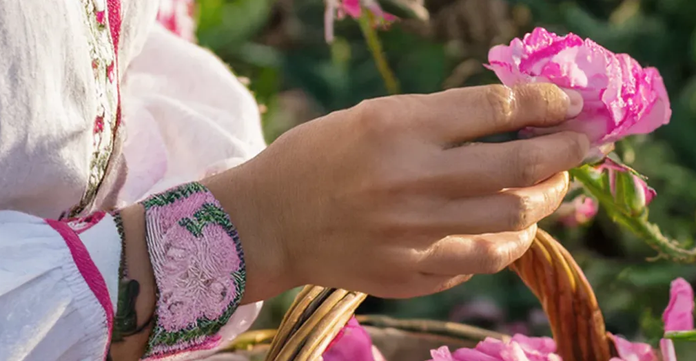 Why Organic Essential Oils Matter: Purity, Power, and Peace of Mind